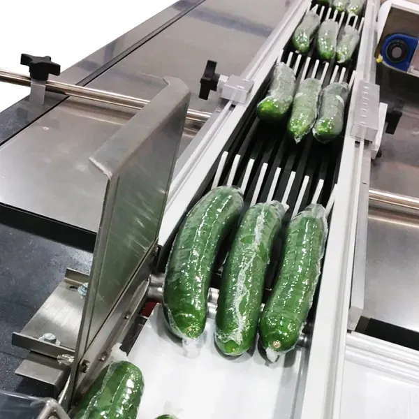 Shrink Wrapping Machines